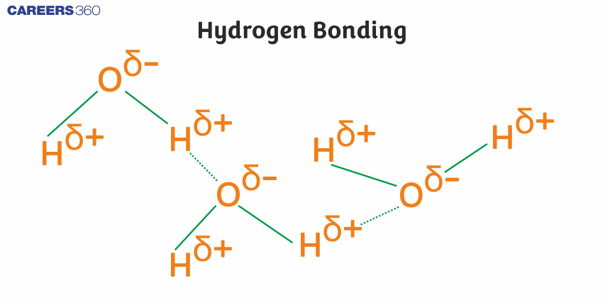 Hydrogen Bonding